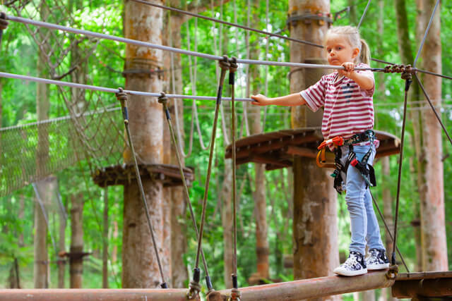 A young child balancing on a log on a treetop adventure course